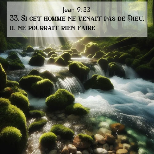 Segond21 Évangile selon Jean  ; image nature: image avec le verset biblique :Si cet homme ne venait pas de Dieu, il ne pourrait rien faire.» ;  ; 9:33