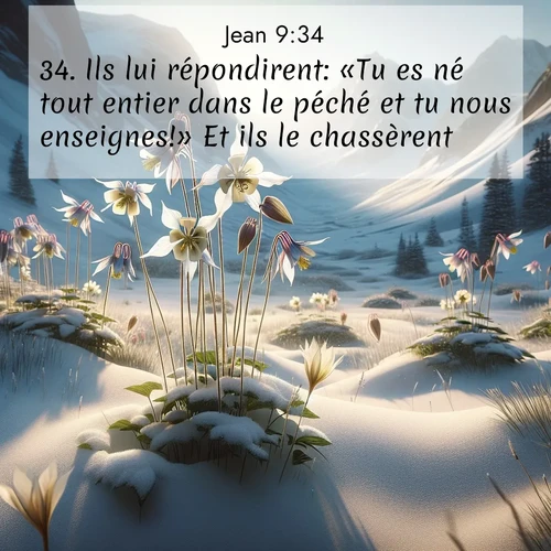 Segond21 Évangile selon Jean  ; image nature: image avec le verset biblique :Ils lui répondirent: «Tu es né tout entier dans le péché et tu nous enseignes!» Et ils le chassèrent. ;  ; 9:34