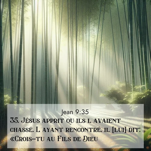Segond21 Évangile selon Jean  ; image nature: image avec le verset biblique :Jésus apprit qu&#039;ils l&#039;avaient chassé. L&#039;ayant rencontré, il [lui] dit: «Crois-tu au Fils de Dieu?» ;  ; 9:35