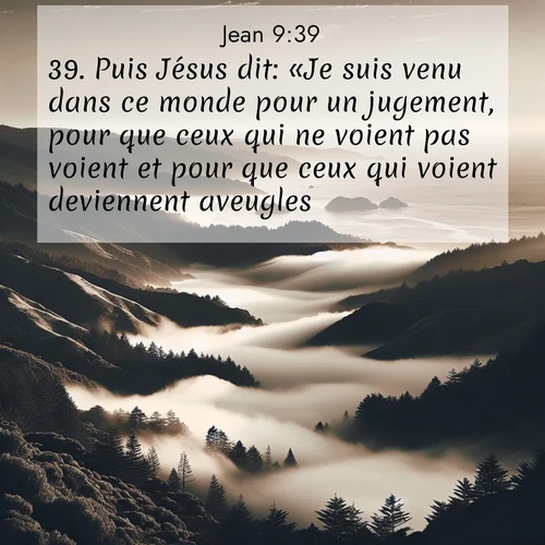 Segond21 Évangile selon Jean  ; image nature: image avec le verset biblique :Puis Jésus dit: «Je suis venu dans ce monde pour un jugement, pour que ceux qui ne voient pas voient et pour que ceux qui voient deviennent aveugles.» ;  ; 9:39