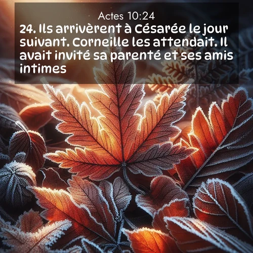 Segond21 Actes  ; image nature: image avec le verset biblique :Ils arrivèrent à Césarée le jour suivant. Corneille les attendait. Il avait invité sa parenté et ses amis intimes. ;  ; 10:24