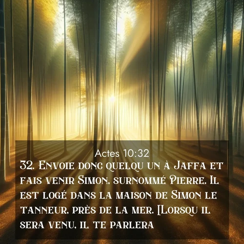 Segond21 Actes  ; image nature: image avec le verset biblique :Envoie donc quelqu&#039;un à Jaffa et fais venir Simon, surnommé Pierre. Il est logé dans la maison de Simon le tanneur, près de la mer. [Lorsqu&#039;il sera venu, il te parlera.]&#039; ;  ; 10:32