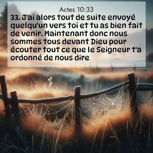 Segond21 Actes  ; image nature: image avec le verset biblique :J&#039;ai alors tout de suite envoyé quelqu&#039;un vers toi et tu as bien fait de venir. Maintenant donc nous sommes tous devant Dieu pour écouter tout ce que le Seigneur t&#039;a ordonné de nous dire.» ;  ; 10:33