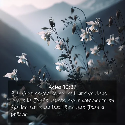 Segond21 Actes  ; image nature: image avec le verset biblique :Vous savez ce qui est arrivé dans toute la Judée, après avoir commencé en Galilée suite au baptême que Jean a prêché. ;  ; 10:37