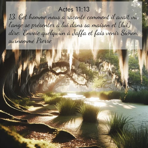 Segond21 Actes  ; image nature: image avec le verset biblique :Cet homme nous a raconté comment il avait vu l&#039;ange se présenter à lui dans sa maison et [lui] dire: &#039;Envoie quelqu&#039;un à Jaffa et fais venir Simon, surnommé Pierre; ;  ; 11:13