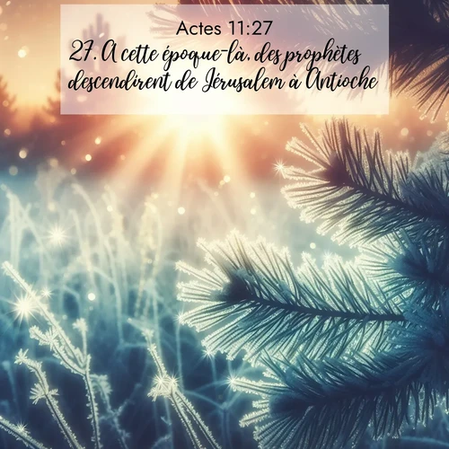 Segond21 Actes  ; image nature: image avec le verset biblique :A cette époque-là, des prophètes descendirent de Jérusalem à Antioche. ;  ; 11:27