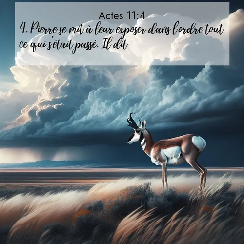 Segond21 Actes  ; image nature: image avec le verset biblique :Pierre se mit à leur exposer dans l&#039;ordre tout ce qui s&#039;était passé. Il dit: ;  ; 11:4