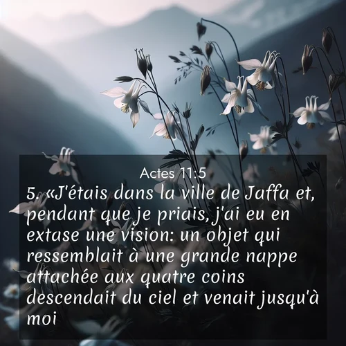 Segond21 Actes  ; image nature: image avec le verset biblique :«J&#039;étais dans la ville de Jaffa et, pendant que je priais, j&#039;ai eu en extase une vision: un objet qui ressemblait à une grande nappe attachée aux quatre coins descendait du ciel et venait jusqu&#039;à moi. ;  ; 11:5