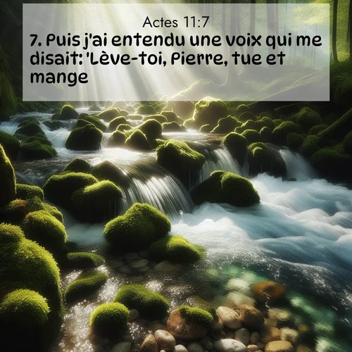 Segond21 Actes  ; image nature: image avec le verset biblique :Puis j&#039;ai entendu une voix qui me disait: &#039;Lève-toi, Pierre, tue et mange!&#039; ;  ; 11:7