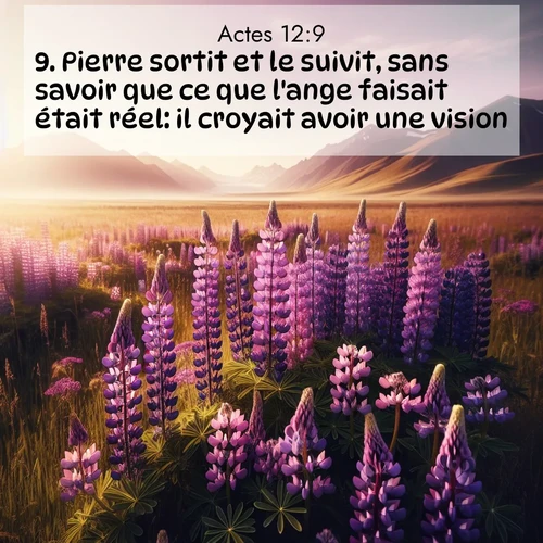 image nature avec verset biblique de la Bible
