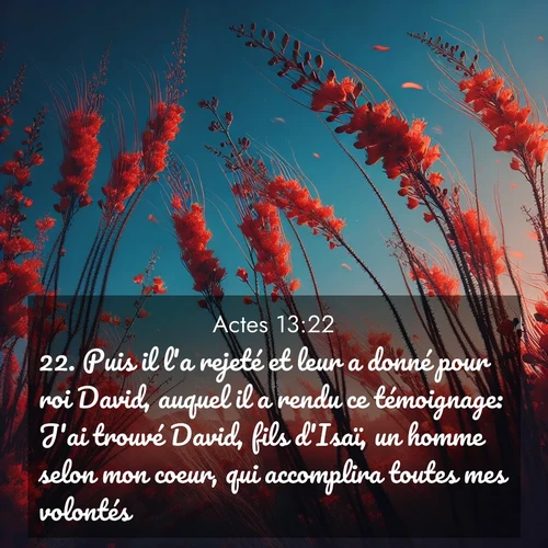 image nature avec verset biblique de la Bible