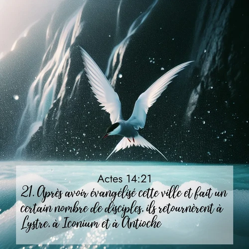 Segond21 Actes  ; image nature: image avec le verset biblique :Après avoir évangélisé cette ville et fait un certain nombre de disciples, ils retournèrent à Lystre, à Iconium et à Antioche. ;  ; 14:21