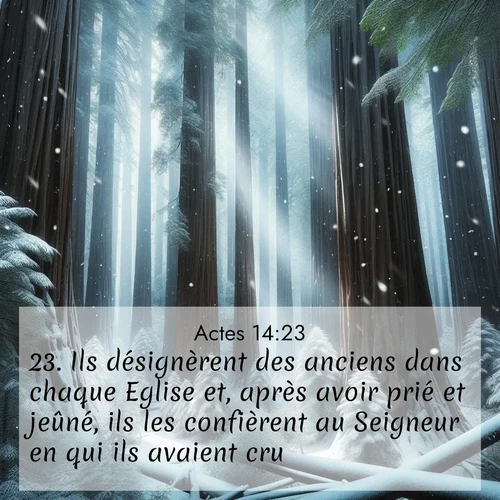 Segond21 Actes  ; image nature: image avec le verset biblique :Ils désignèrent des anciens dans chaque Eglise et, après avoir prié et jeûné, ils les confièrent au Seigneur en qui ils avaient cru. ;  ; 14:23