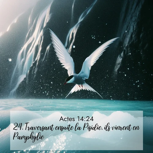 Segond21 Actes  ; image nature: image avec le verset biblique :Traversant ensuite la Pisidie, ils vinrent en Pamphylie. ;  ; 14:24