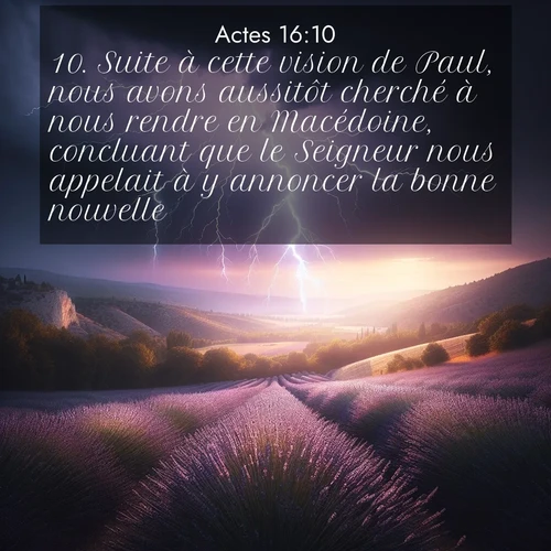 Segond21 Actes  ; image nature: image avec le verset biblique :Suite à cette vision de Paul, nous avons aussitôt cherché à nous rendre en Macédoine, concluant que le Seigneur nous appelait à y annoncer la bonne nouvelle. ;  ; 16:10