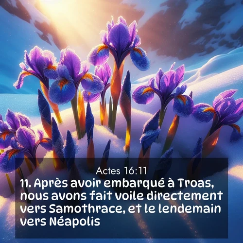 Segond21 Actes  ; image nature: image avec le verset biblique :Après avoir embarqué à Troas, nous avons fait voile directement vers Samothrace, et le lendemain vers Néapolis. ;  ; 16:11