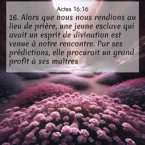Segond21 Actes  ; image nature: image avec le verset biblique :Alors que nous nous rendions au lieu de prière, une jeune esclave qui avait un esprit de divination est venue à notre rencontre. Par ses prédictions, elle procurait un grand profit à ses maîtres. ;  ; 16:16