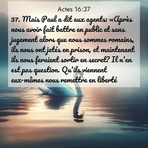 Segond21 Actes  ; image nature: image avec le verset biblique :Mais Paul a dit aux agents: «Après nous avoir fait battre en public et sans jugement alors que nous sommes romains, ils nous ont jetés en prison, et maintenant ils nous feraient sortir en secret? Il n&#039;en est pas question. Qu&#039;ils viennent eux-mêmes nous remettre en liberté!» ;  ; 16:37