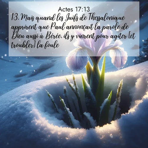 Segond21 Actes  ; image nature: image avec le verset biblique :Mais quand les Juifs de Thessalonique apprirent que Paul annonçait la parole de Dieu aussi à Bérée, ils y vinrent pour agiter [et troubler] la foule. ;  ; 17:13