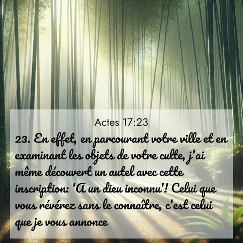Segond21 Actes  ; image nature: image avec le verset biblique :En effet, en parcourant votre ville et en examinant les objets de votre culte, j&#039;ai même découvert un autel avec cette inscription: &#039;A un dieu inconnu&#039;! Celui que vous révérez sans le connaître, c&#039;est celui que je vous annonce. ;  ; 17:23