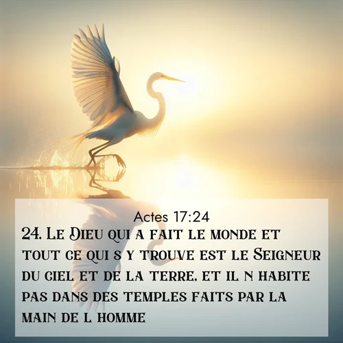 Segond21 Actes  ; image nature: image avec le verset biblique :Le Dieu qui a fait le monde et tout ce qui s&#039;y trouve est le Seigneur du ciel et de la terre, et il n&#039;habite pas dans des temples faits par la main de l&#039;homme. ;  ; 17:24