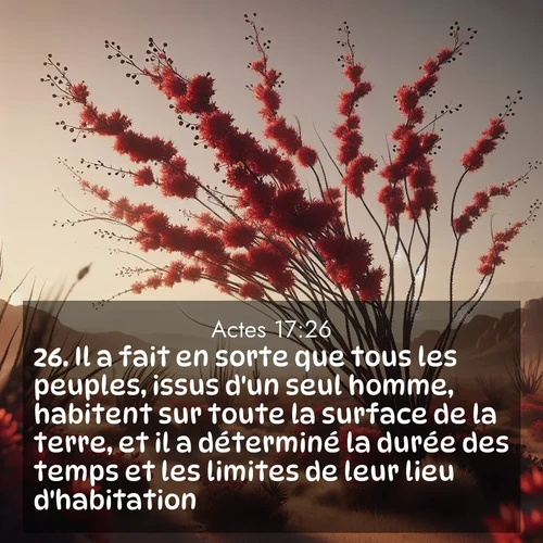Segond21 Actes  ; image nature: image avec le verset biblique :Il a fait en sorte que tous les peuples, issus d&#039;un seul homme, habitent sur toute la surface de la terre, et il a déterminé la durée des temps et les limites de leur lieu d&#039;habitation. ;  ; 17:26