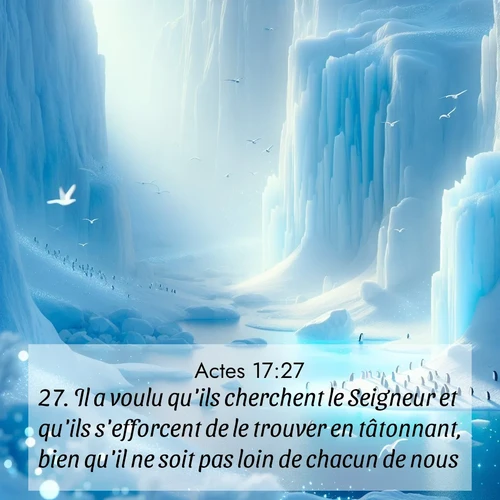 Segond21 Actes  ; image nature: image avec le verset biblique :Il a voulu qu&#039;ils cherchent le Seigneur et qu&#039;ils s&#039;efforcent de le trouver en tâtonnant, bien qu&#039;il ne soit pas loin de chacun de nous. ;  ; 17:27