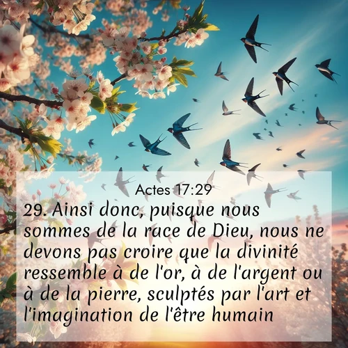 Segond21 Actes  ; image nature: image avec le verset biblique :Ainsi donc, puisque nous sommes de la race de Dieu, nous ne devons pas croire que la divinité ressemble à de l&#039;or, à de l&#039;argent ou à de la pierre, sculptés par l&#039;art et l&#039;imagination de l&#039;être humain. ;  ; 17:29