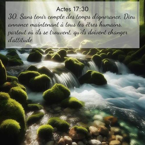 Segond21 Actes  ; image nature: image avec le verset biblique :Sans tenir compte des temps d&#039;ignorance, Dieu annonce maintenant à tous les êtres humains, partout où ils se trouvent, qu&#039;ils doivent changer d&#039;attitude, ;  ; 17:30