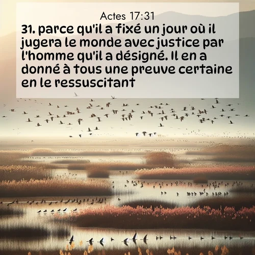 Segond21 Actes  ; image nature: image avec le verset biblique :parce qu&#039;il a fixé un jour où il jugera le monde avec justice par l&#039;homme qu&#039;il a désigné. Il en a donné à tous une preuve certaine en le ressuscitant.» ;  ; 17:31