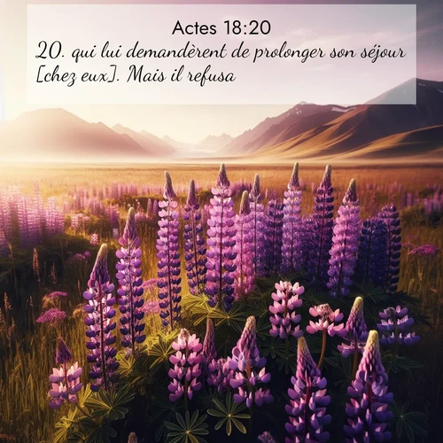 Segond21 Actes  ; image nature: image avec le verset biblique :qui lui demandèrent de prolonger son séjour [chez eux]. Mais il refusa ;  ; 18:20