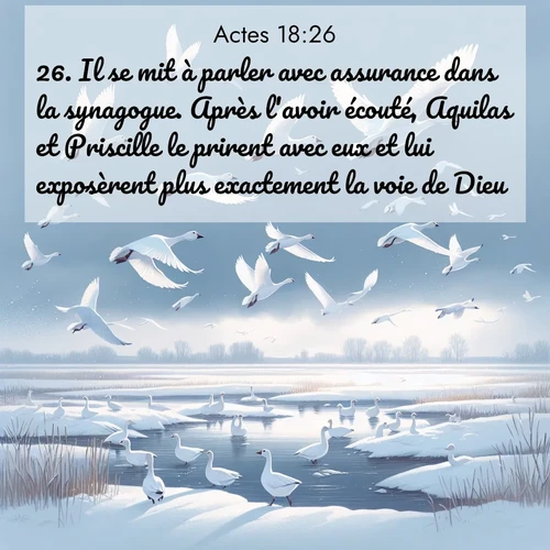 Segond21 Actes  ; image nature: image avec le verset biblique :Il se mit à parler avec assurance dans la synagogue. Après l&#039;avoir écouté, Aquilas et Priscille le prirent avec eux et lui exposèrent plus exactement la voie de Dieu. ;  ; 18:26