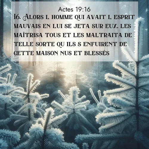 Segond21 Actes  ; image nature: image avec le verset biblique :Alors l&#039;homme qui avait l&#039;esprit mauvais en lui se jeta sur eux, les maîtrisa tous et les maltraita de telle sorte qu&#039;ils s&#039;enfuirent de cette maison nus et blessés. ;  ; 19:16
