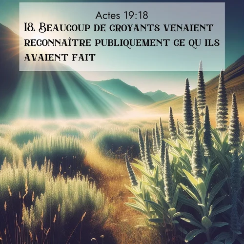 Segond21 Actes  ; image nature: image avec le verset biblique :Beaucoup de croyants venaient reconnaître publiquement ce qu&#039;ils avaient fait. ;  ; 19:18