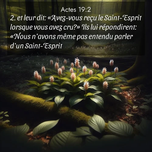Segond21 Actes  ; image nature: image avec le verset biblique :et leur dit: «Avez-vous reçu le Saint-Esprit lorsque vous avez cru?» Ils lui répondirent: «Nous n&#039;avons même pas entendu parler d&#039;un Saint-Esprit.» ;  ; 19:2