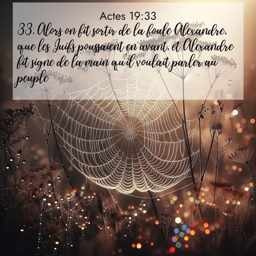 Segond21 Actes  ; image nature: image avec le verset biblique :Alors on fit sortir de la foule Alexandre, que les Juifs poussaient en avant, et Alexandre fit signe de la main qu&#039;il voulait parler au peuple. ;  ; 19:33