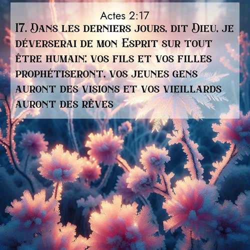 Segond21 Actes  ; image nature: image avec le verset biblique :Dans les derniers jours, dit Dieu, je déverserai de mon Esprit sur tout être humain; vos fils et vos filles prophétiseront, vos jeunes gens auront des visions et vos vieillards auront des rêves. ;  ; 2:17
