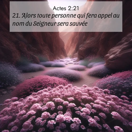 Segond21 Actes  ; image nature: image avec le verset biblique :Alors toute personne qui fera appel au nom du Seigneur sera sauvée. ;  ; 2:21