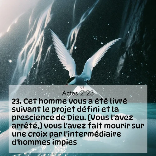 Segond21 Actes  ; image nature: image avec le verset biblique :Cet homme vous a été livré suivant le projet défini et la prescience de Dieu. [Vous l&#039;avez arrêté,] vous l&#039;avez fait mourir sur une croix par l&#039;intermédiaire d&#039;hommes impies. ;  ; 2:23