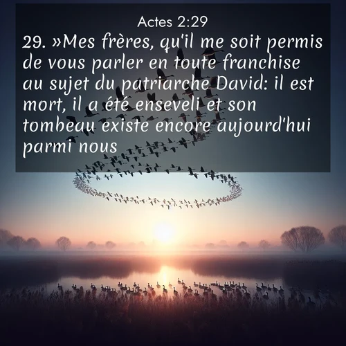 Segond21 Actes  ; image nature: image avec le verset biblique :»Mes frères, qu&#039;il me soit permis de vous parler en toute franchise au sujet du patriarche David: il est mort, il a été enseveli et son tombeau existe encore aujourd&#039;hui parmi nous! ;  ; 2:29
