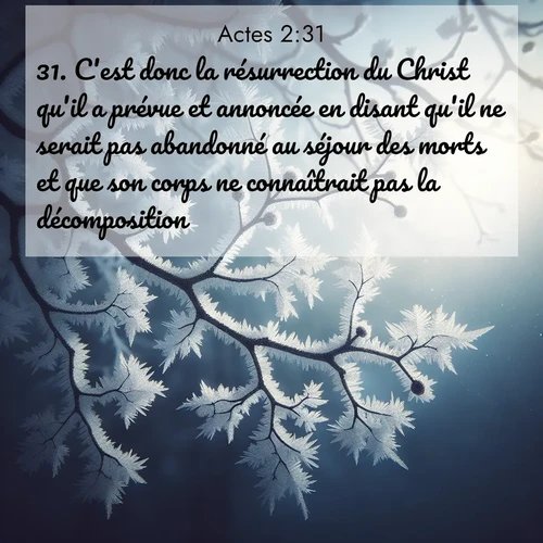 Segond21 Actes  ; image nature: image avec le verset biblique :C&#039;est donc la résurrection du Christ qu&#039;il a prévue et annoncée en disant qu&#039;il ne serait pas abandonné au séjour des morts et que son corps ne connaîtrait pas la décomposition. ;  ; 2:31