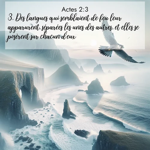 Segond21 Actes  ; image nature: image avec le verset biblique :Des langues qui semblaient de feu leur apparurent, séparées les unes des autres, et elles se posèrent sur chacun d&#039;eux. ;  ; 2:3