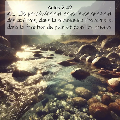 Segond21 Actes  ; image nature: image avec le verset biblique :Ils persévéraient dans l&#039;enseignement des apôtres, dans la communion fraternelle, dans la fraction du pain et dans les prières. ;  ; 2:42