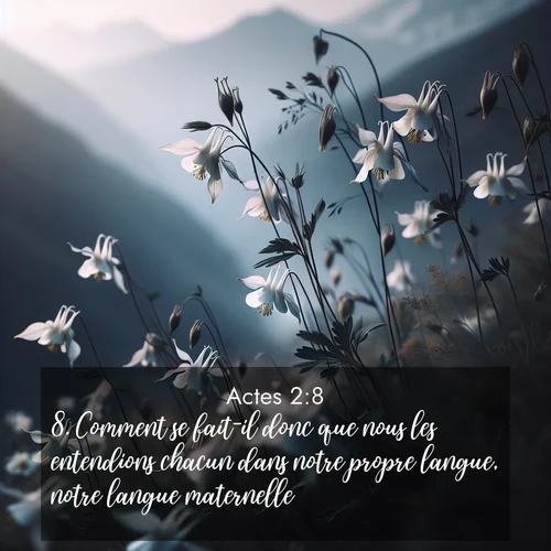 Segond21 Actes  ; image nature: image avec le verset biblique :Comment se fait-il donc que nous les entendions chacun dans notre propre langue, notre langue maternelle? ;  ; 2:8