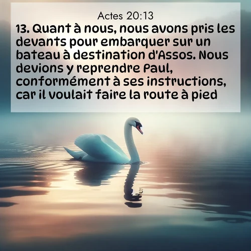 Segond21 Actes  ; image nature: image avec le verset biblique :Quant à nous, nous avons pris les devants pour embarquer sur un bateau à destination d&#039;Assos. Nous devions y reprendre Paul, conformément à ses instructions, car il voulait faire la route à pied. ;  ; 20:13
