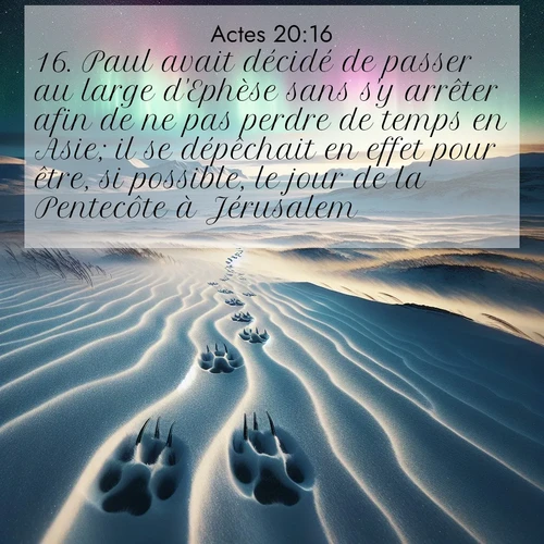 Segond21 Actes  ; image nature: image avec le verset biblique :Paul avait décidé de passer au large d&#039;Ephèse sans s&#039;y arrêter afin de ne pas perdre de temps en Asie; il se dépêchait en effet pour être, si possible, le jour de la Pentecôte à Jérusalem. ;  ; 20:16