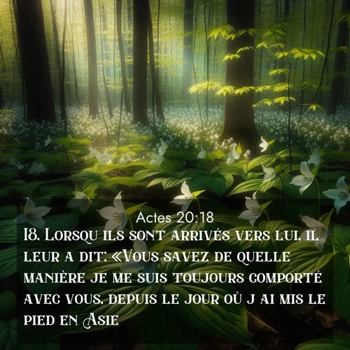 Segond21 Actes  ; image nature: image avec le verset biblique :Lorsqu&#039;ils sont arrivés vers lui, il leur a dit: «Vous savez de quelle manière je me suis toujours comporté avec vous, depuis le jour où j&#039;ai mis le pied en Asie: ;  ; 20:18