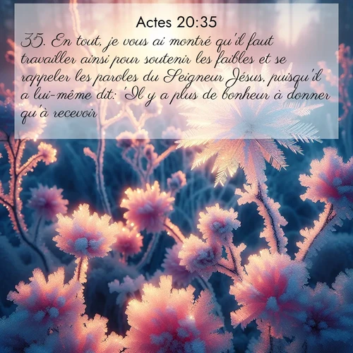 Segond21 Actes  ; image nature: image avec le verset biblique :En tout, je vous ai montré qu&#039;il faut travailler ainsi pour soutenir les faibles et se rappeler les paroles du Seigneur Jésus, puisqu&#039;il a lui-même dit: &#039;Il y a plus de bonheur à donner qu&#039;à recevoir.&#039;» ;  ; 20:35