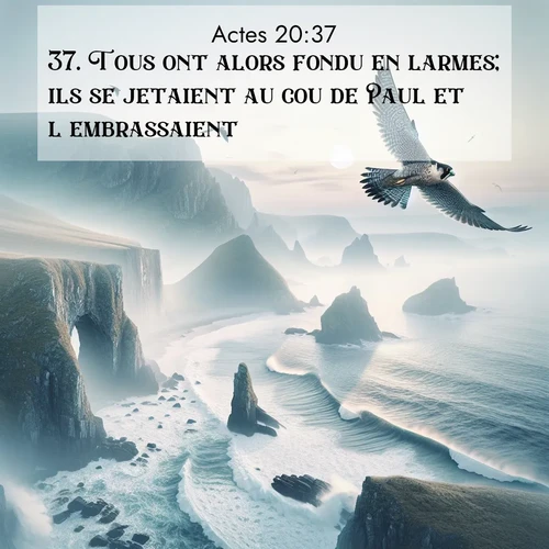 Segond21 Actes  ; image nature: image avec le verset biblique :Tous ont alors fondu en larmes; ils se jetaient au cou de Paul et l&#039;embrassaient, ;  ; 20:37