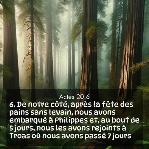 Segond21 Actes  ; image nature: image avec le verset biblique :De notre côté, après la fête des pains sans levain, nous avons embarqué à Philippes et, au bout de 5 jours, nous les avons rejoints à Troas où nous avons passé 7 jours. ;  ; 20:6